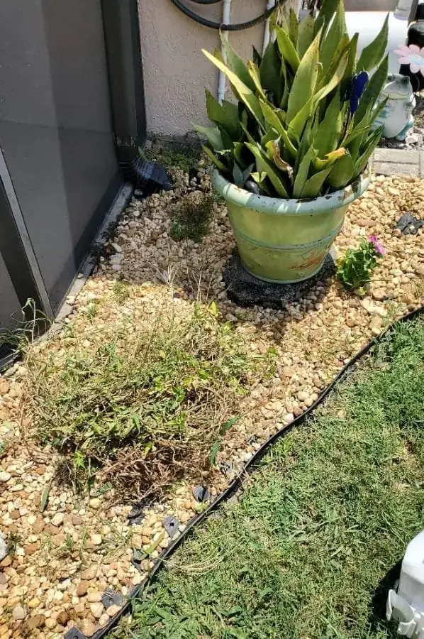 River-rock bed overgrown with grass and weeds around a green planter