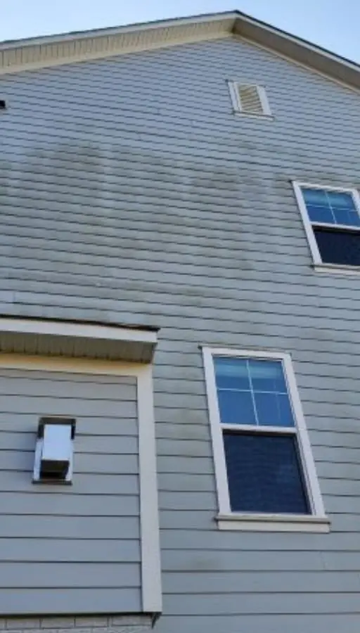 Grey vinyl siding streaked with green mildew along the laps